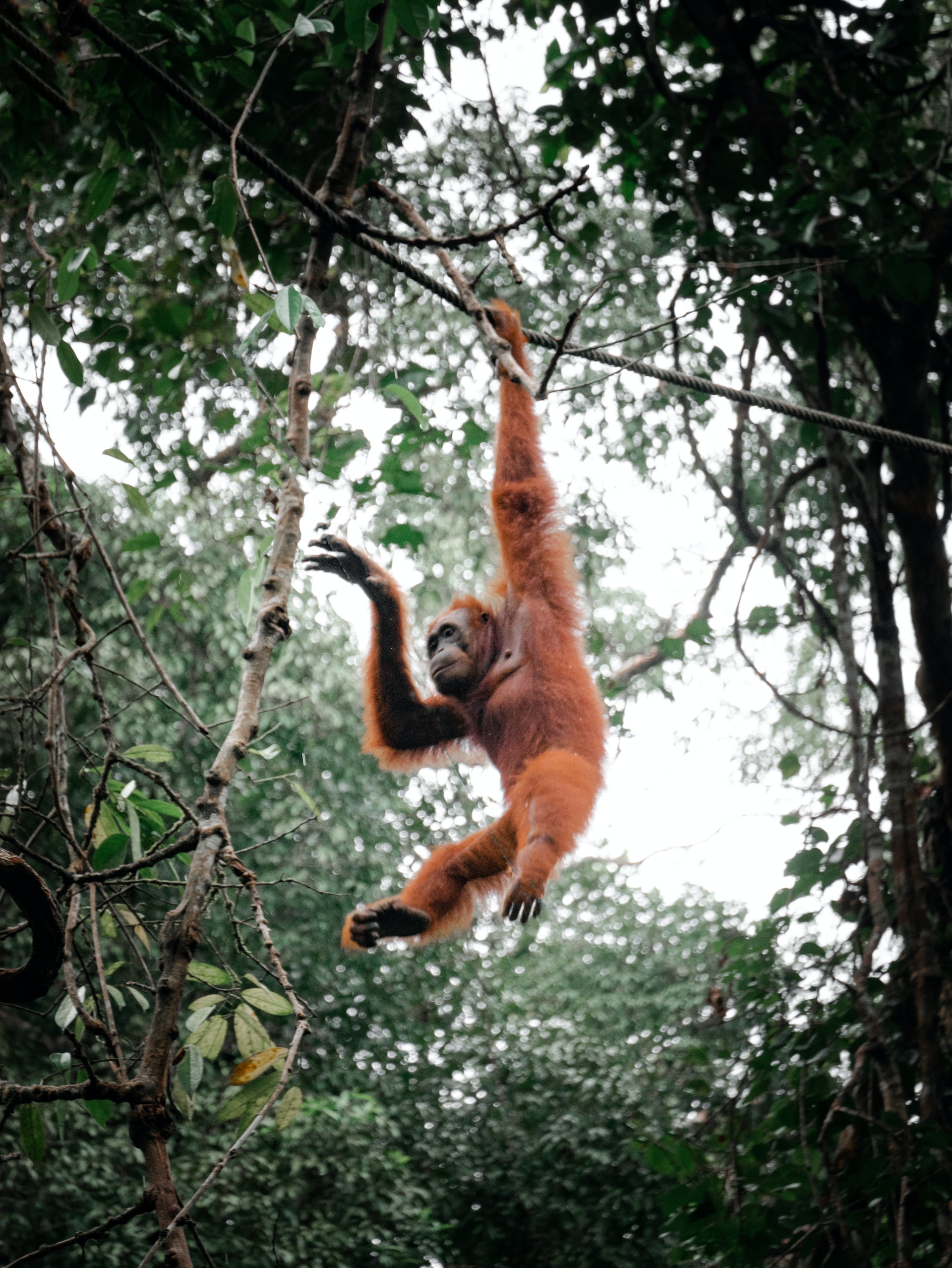 Malaysia